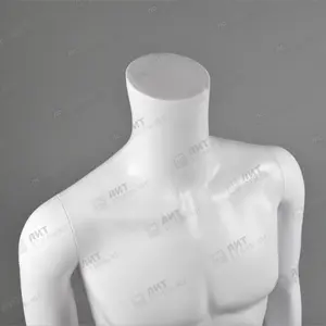 Торс мужской TORSOS male