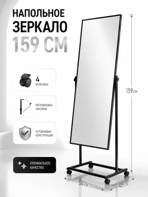 Зеркало напольное T01(черн)