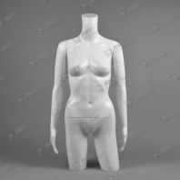 Торс женский TORSOS female